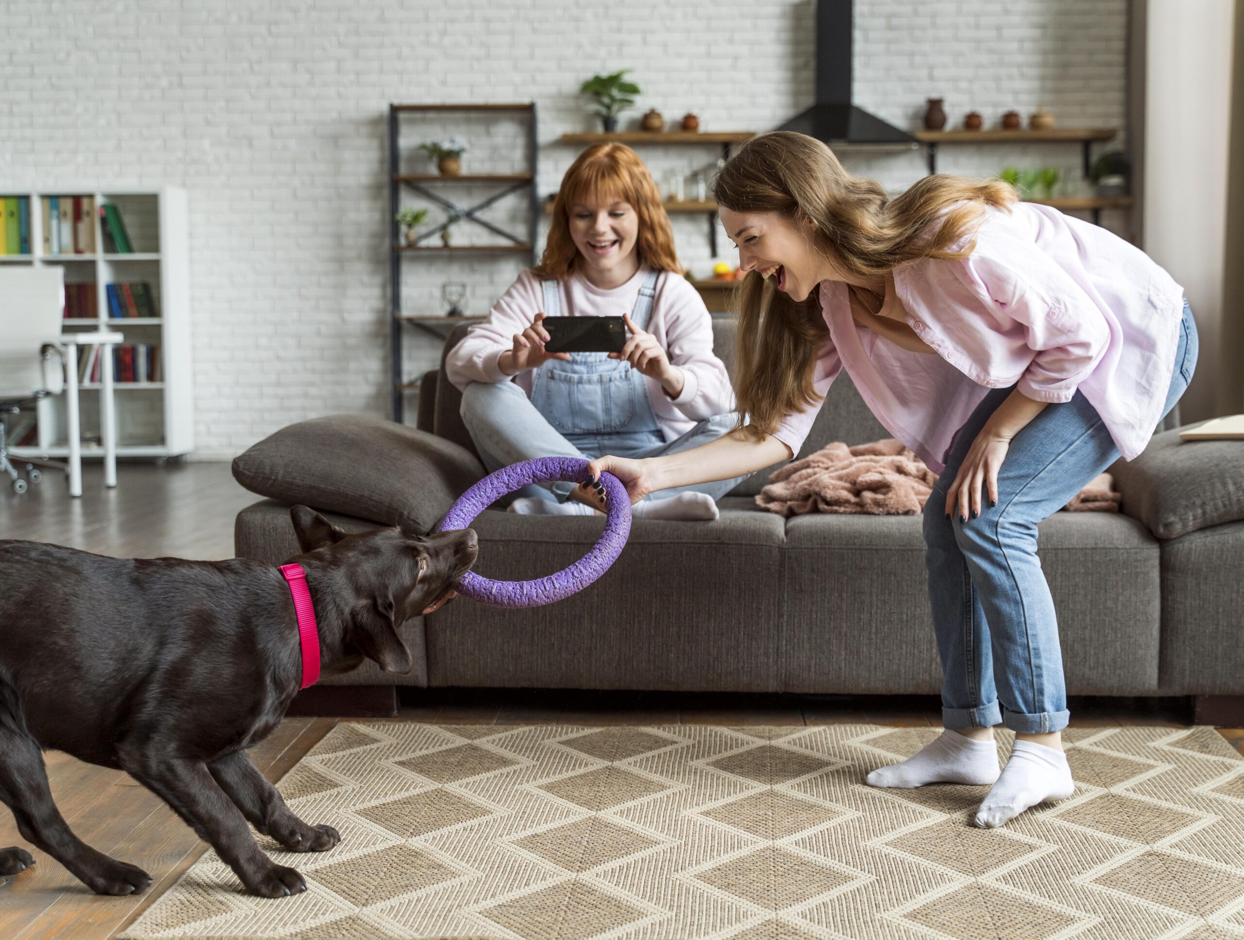 How to Teach Your Dog Basic Commands at Home