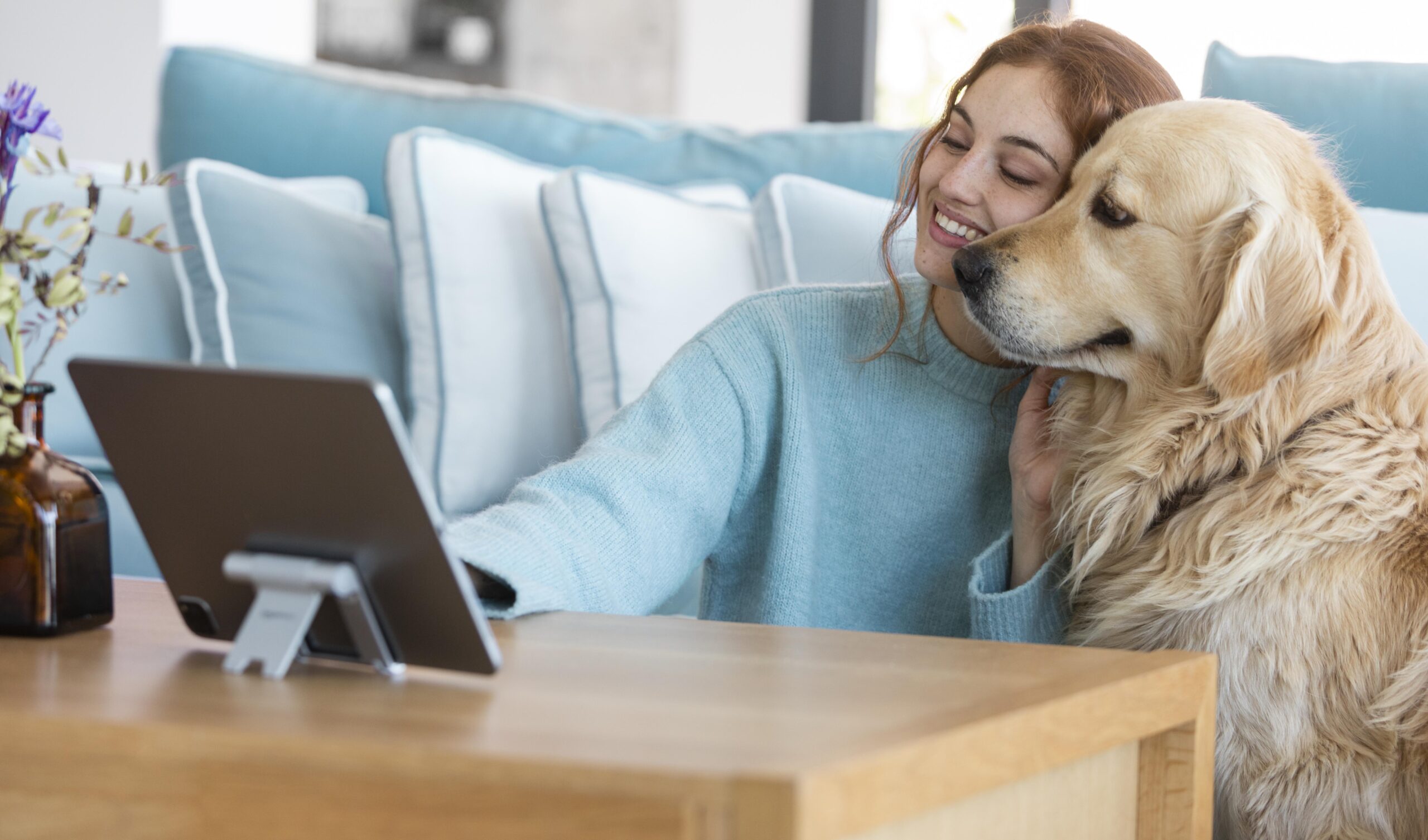 🐾 Labrador: Como Transformar Sua Casa no Paraíso do Seu Cão 🏡🐶
